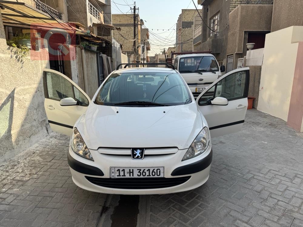 بیجۆ 307